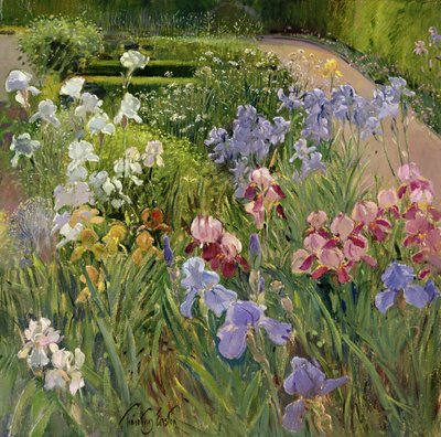 Schwertlilien in Bedfield von Timothy Easton